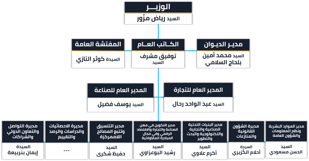 الهيكل التنظيمي