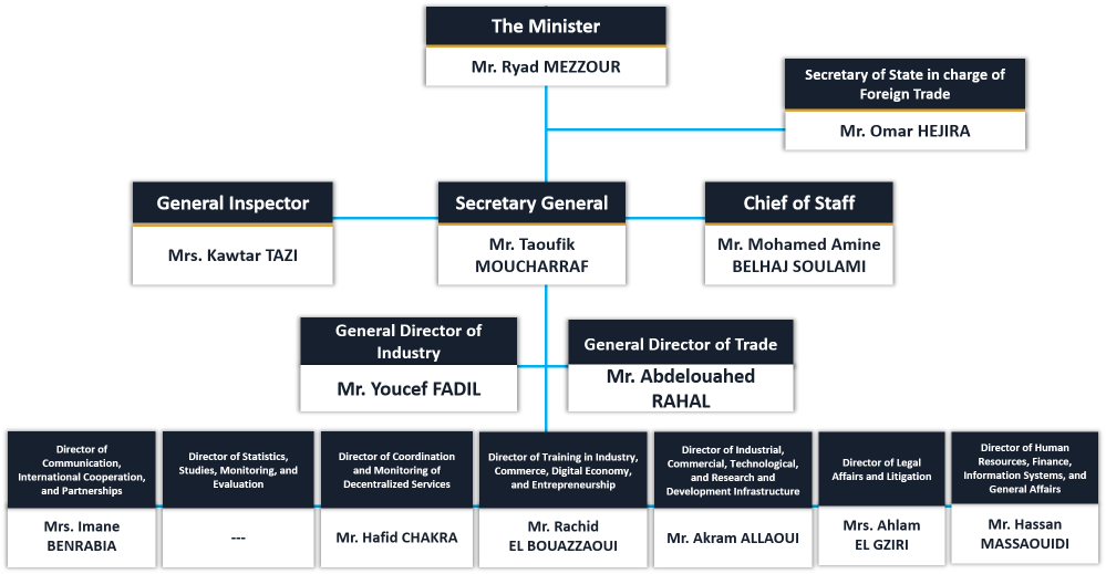 Organizational Chart